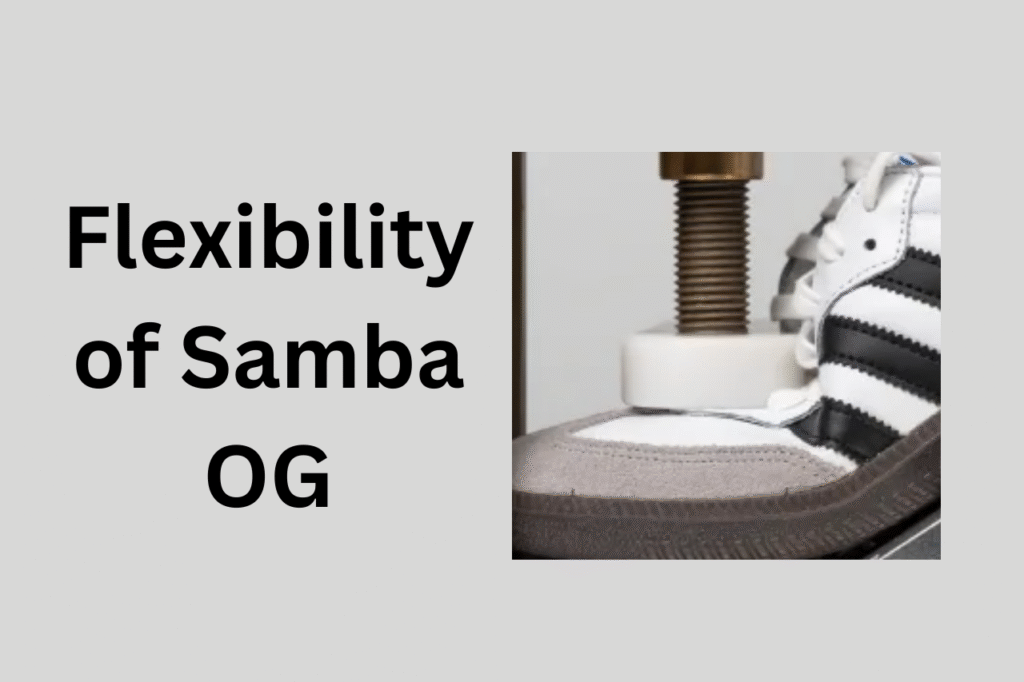 Flexibility of Samba OG